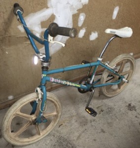 mike dominguez diamondback