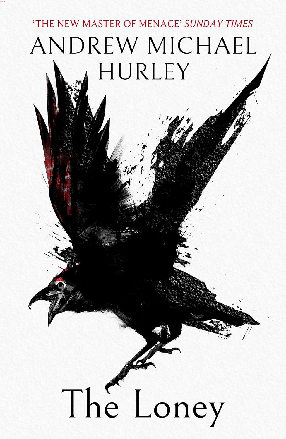 The Loney: 'The Book of the Year 2016' by Andrew Michael Hurley (PB 2016) - Image 11