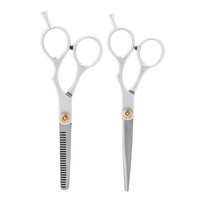 Hochwertige Haarschneide-Thin-Scheren Set FüR Salon Friseur Haarschneideschere