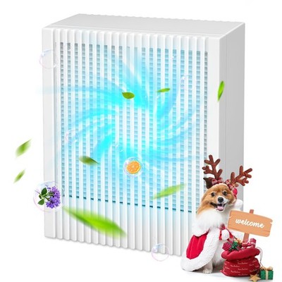Home HEPA Air Purifier Small Room Air Cleaner for Allergies Smoke Mold Odor Dust