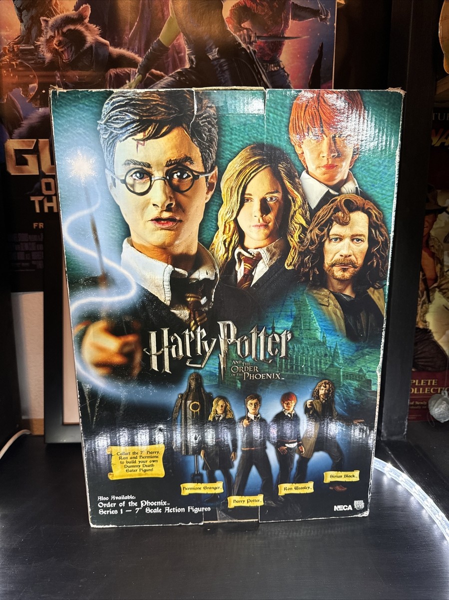 Harry Potter Order of the Phoenix 18