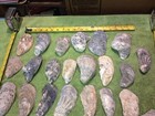 Lot of 35 Thick ￼Atlantic Oyster Shells 3 To 6 Inch  Long Polished Arts Crafts — photo 3