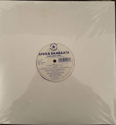 Afrika Bambaata- Feeling Irie (3 Versions) - 12'' Vinyl Single- Brand New Sealed