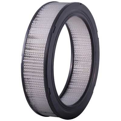 Air Filter Premium Guard PA3467