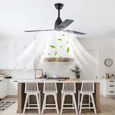 Ceiling Fan - 52 inch Ceiling Fan with Remote Control for Indoor Patio Bedroom