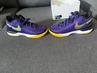 Brandneue Zoom LeBron NXXT Gen Größe 44.5