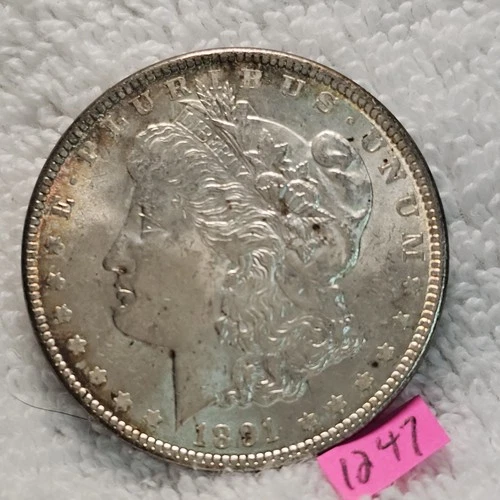 VIDEO 🔥NO RESERVE 👀🔥1891 Morgan Dollar BU MS Beautiful Golden Rim Toned