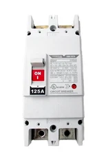 Generac 125A Main Breaker 0K0970 2POLE 240V 