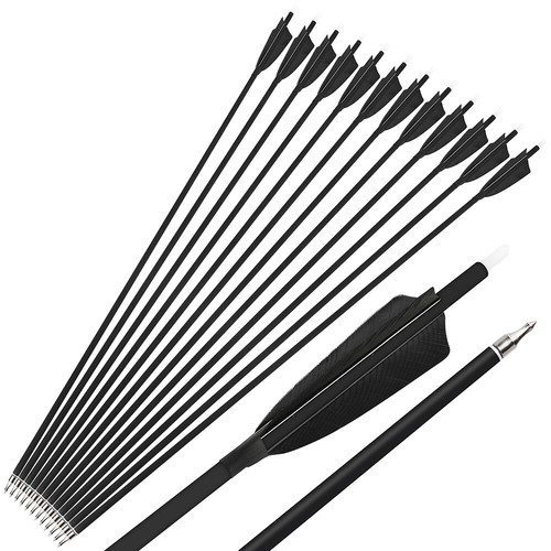 28" 30" 31" Carbon Arrows SP500 Feathers Screw Tips Recurve Compound Bow Hunting - Picture 34 of 36