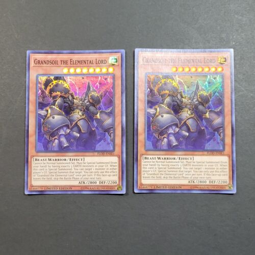 Yugioh - 2x Grandsoil the Elemental Lord - FLOD-ENSE1 - NM - Super Rare Limited - Picture 1 of 8