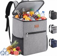 KüHlrucksack 21L Isoliert FüR 30 Dosen Picknicktasche Camping Strand MäNner