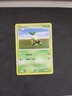 TURTWIG 77/100 Majestic Dawn Unlimited Vintage Pokemon TCG - MP - Non Holo