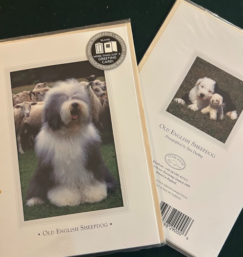 Old English Sheepdog Vintage Greeting Cards By Otter House Uk 1999 pack of 6 - Picture 1 of 3