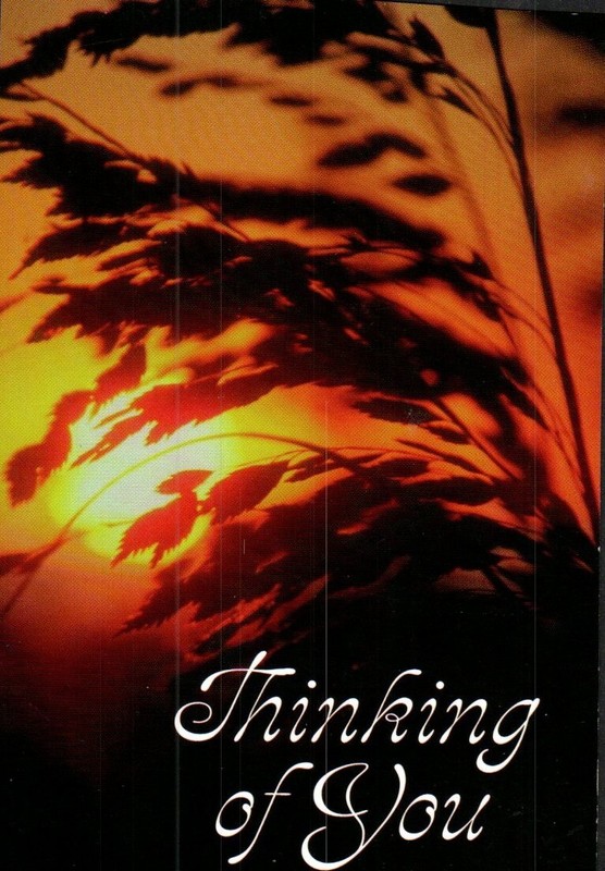 NICE VINTAGE  POSTCARD -  THINKING OF YOU