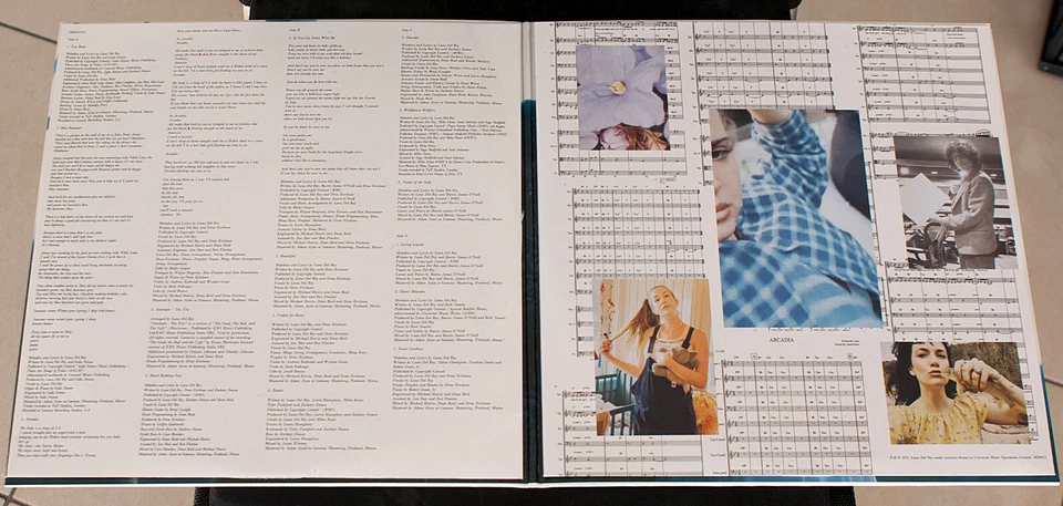 Rock-Pop, Indie-Pop - Lana Del Rey – Blue Banisters - EU-US 2021 - 2 LPs Mint - Bild 4 von 4