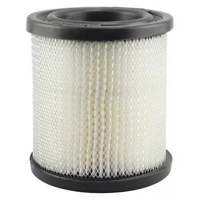 Baldwin Filters Pa1748 Air Filter, 3-11/16 X 4-1/8 In.