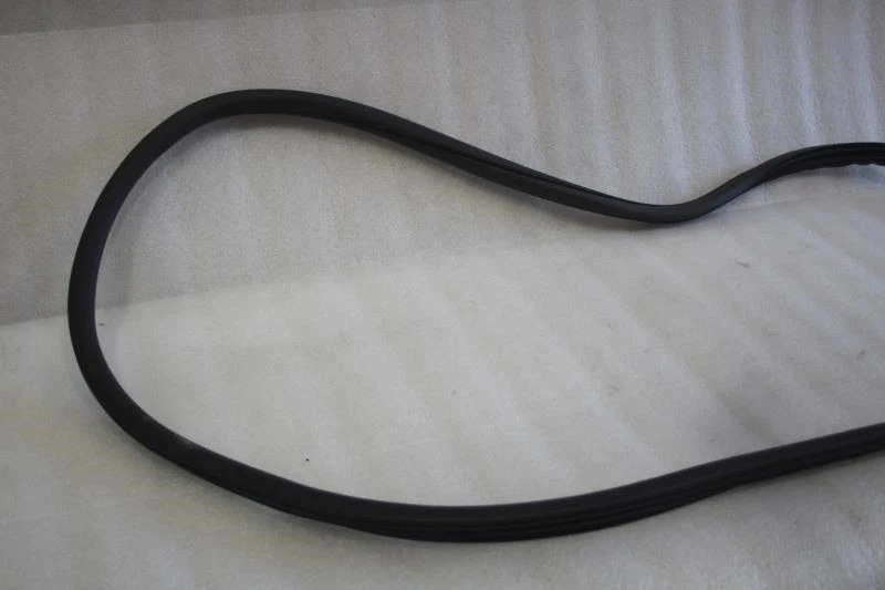 Cadillac CT5 2020 2021 lado izquierdo del conductor puerta trasera jamba sellado resistente a la intemperie Foto 3 de 4