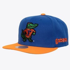 Florida Gators Mitchell & Ness Team Origins Snapback Cap