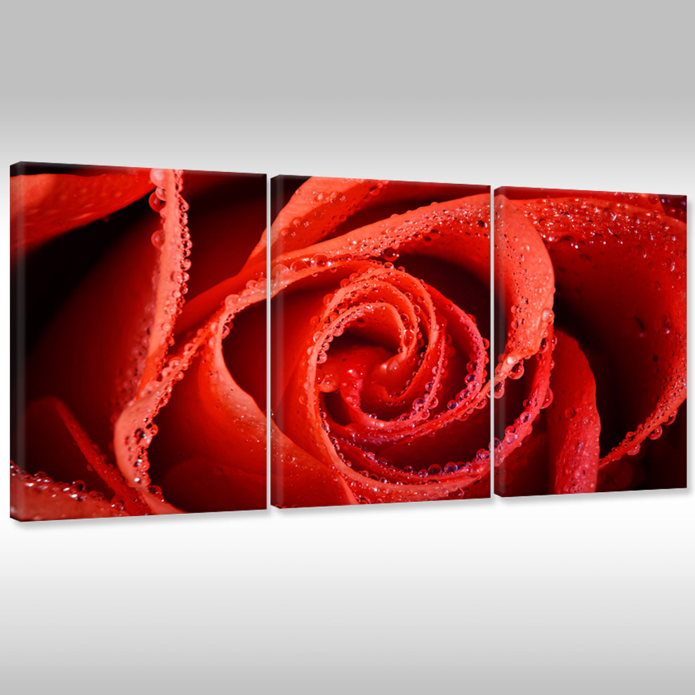 Quadro su tel TELA POSTER FOTOGRAFIA ARTE ARTE ARTE PIANTE FIORI GOCCE SU rossoe rosa d0bf4d Quadro su tel TELA POSTER FOTOGRAFIA ARTE ARTE ARTE PIANTE FIORI GOCCE SU rossoe rosa d0bf4d