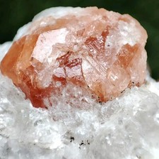 36-gm Rare Spessartine Garnet on Cleavelandite (AKA Orange Garnet) - Afghanistan