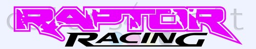 Ford Raptor Racing Sticker Decal Graphics Decals Custom Car SUV Pickup Ford - Picture 8 of 17
