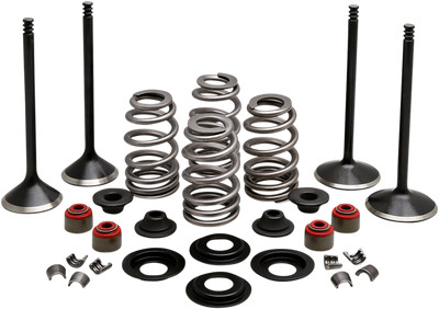 Kibblewhite Black Diamond Motor Ventil Kits #20-23150