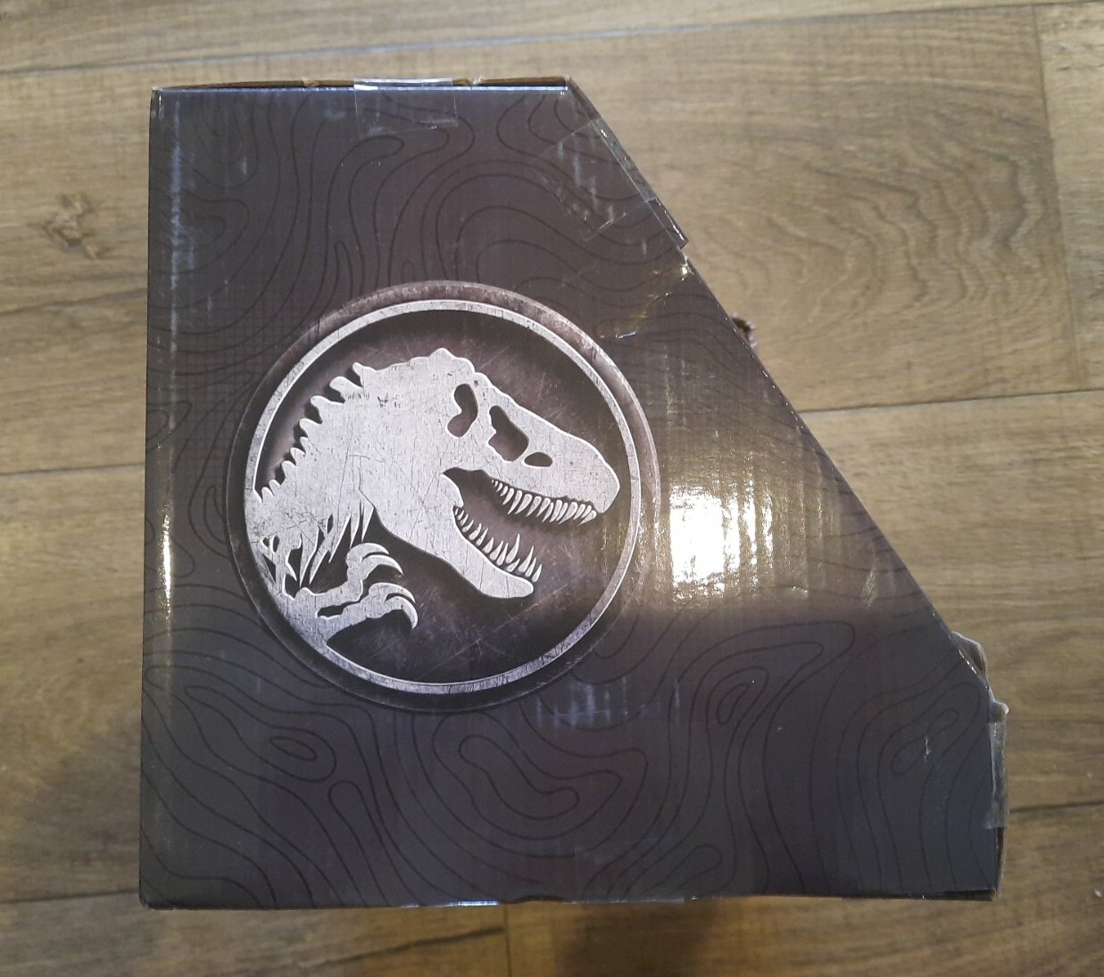 Picture 6 of 6