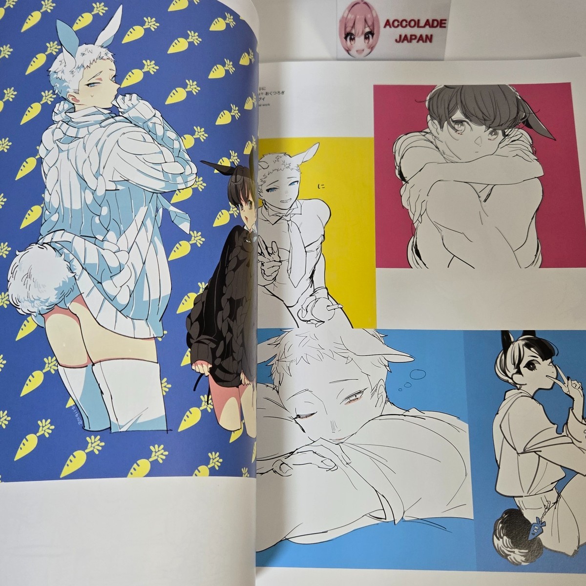 Kinakoページ Kinako Original Works and Drawing Techniques Art Book Ninjin