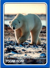 2024 Topps Heritage - Pete Alonso orso polare #75Z-9 bordo blu