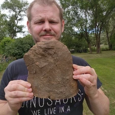 Huge Chunk of TRICERATOPS FRILL Dinosaur Fossil Hell Creek Formation Cretaceous