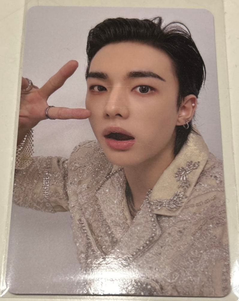 Stray Kids do it SKZOO FIGURE CLIMBING Official Photo card Trading