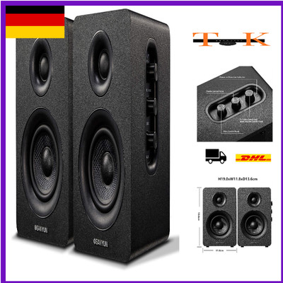 Sanyun SW208 3 Zoll Bluetooth 5 60W Kohlefaser Laut
