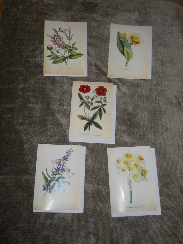 Set a 5 Sierra Club, botanical greeting cards blank inside with white envelopes