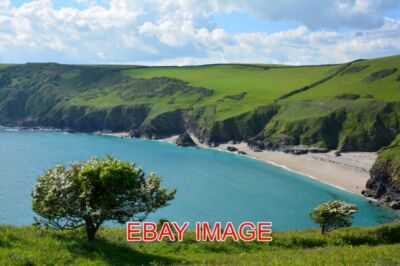 FOTO LANTIC BAY IM MAI BEI POLRUAN CORNWALL MAI BLUMEN - ODER WEISSDORN - ABGEBEN