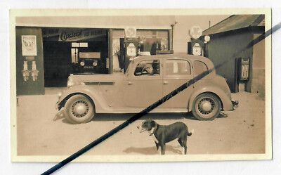 Rover 1930s saloon car photo prewar vintage old VSCC classic dog