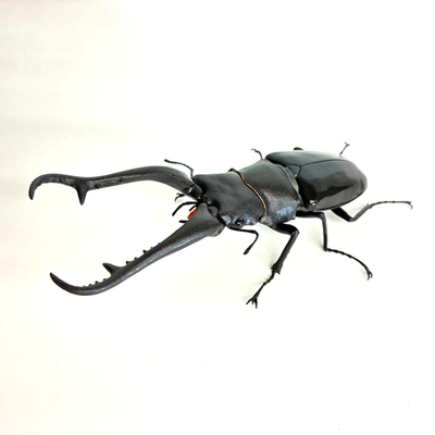 Used】 Bandai Gashapon Stag Beetle 11 Action Figure Giraffe Stag