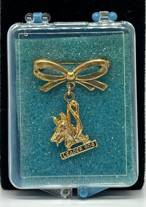 Vintage Lions Club Leader Dog For The Blind Pin Gold Tone Bow German Shepherd
