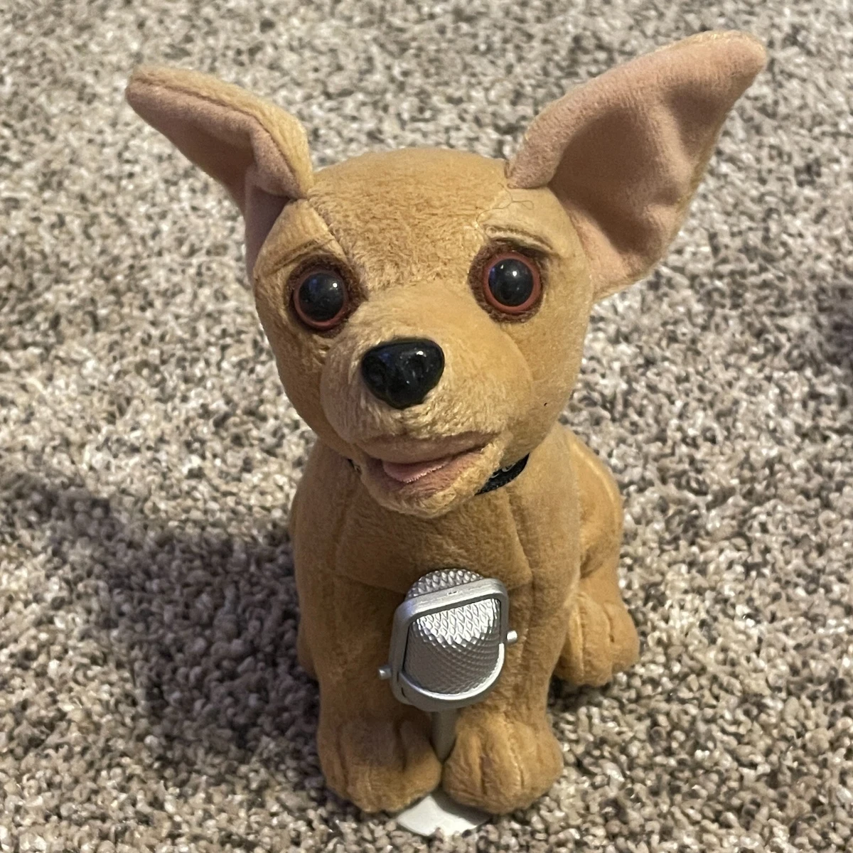Chihuahua stuff cheap