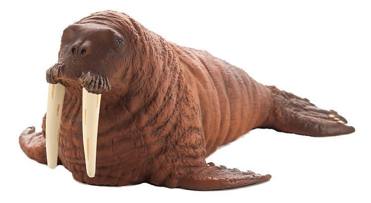 Mojo 387209 Walrus 13 Cm Water Animals