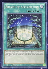 Yu-Gi-Oh! - Breath of Acclamation - Blazing Vortex - BLVO-EN086 - 1st Ed. -NM/M