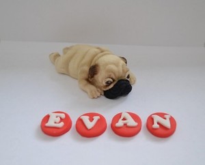 pug cake