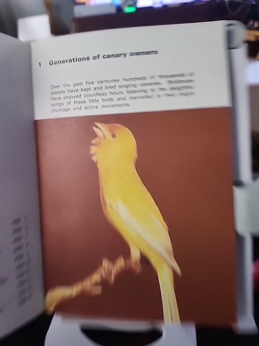 Enjoy Your Canary By Earl Schneider The Pet Library - - Imagen 5 de 5