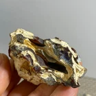 natural Bonsai Suiseki Gobi Agate Eyes Stone - Stunning original Viewing 57g