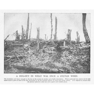 WW1 A Dug Out in what was was einst a Sylvan Wood - Antique Print 1918