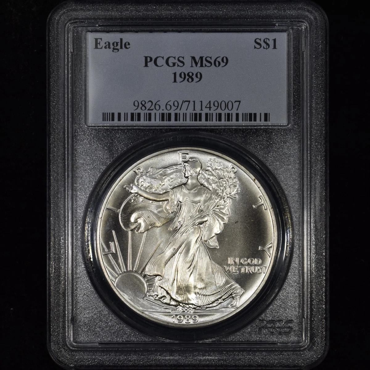 American Eagle 1989 Silver Bullion Coins for sale | eBay