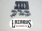 Warhammer FB Warriors Chaos AoS Slaves Darkness - 10x Chaos Warhounds