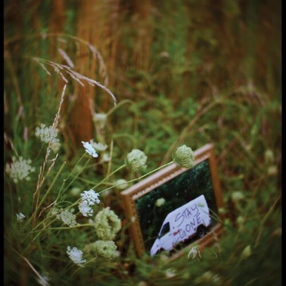 CALYX - Stay Gone - НОВЫЙ запечатанный виниловый альбом на пластинке