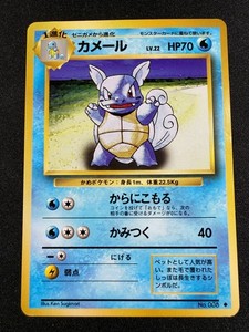Japanese Wartortle | eBay