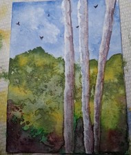  on The Hot Collector