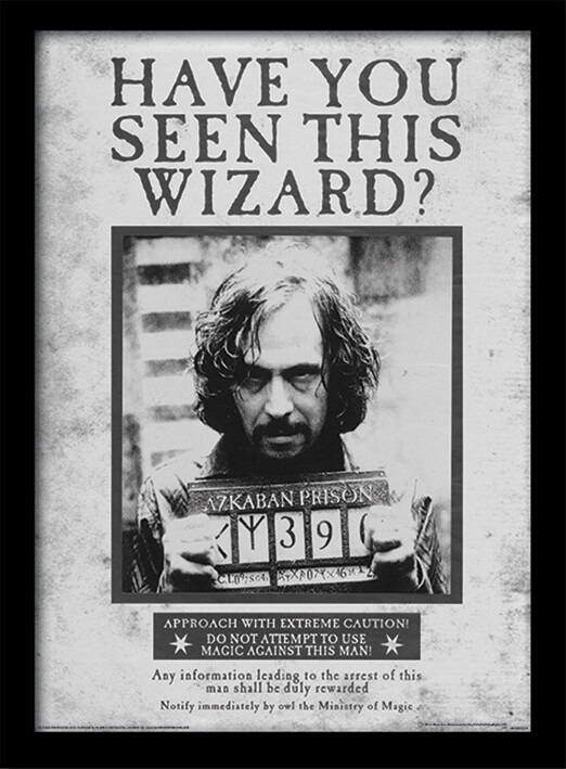 Harry Potter - Sirius Black Wanted - Official 30 x 40cm Framed Print Wall Art